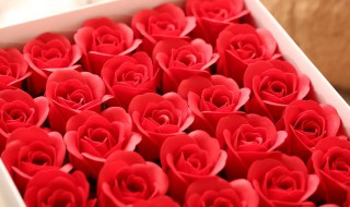 皂花是什么（皂花是什么意思）