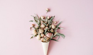 送朋友什么花 送朋友什么花比较好一点