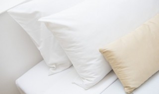 枕头脏了该怎么清洗 枕头脏了该怎么清洗视频