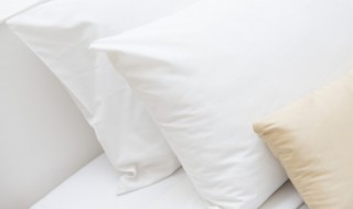 乳胶枕脏了怎么清洗（乳胶枕弄脏了怎么清洗）