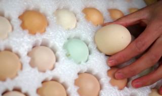 鸡蛋怎么寄（鸡蛋怎么寄才不会碎）