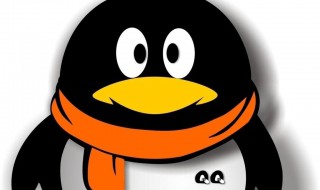 qq闪照怎么弄（qq闪照怎么弄安卓手机）