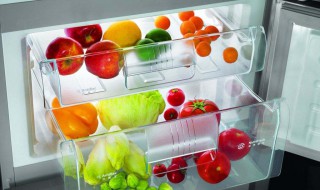 冰箱除异味用什么效果最好的方法 冰箱除异味用什么效果最好的方法呢